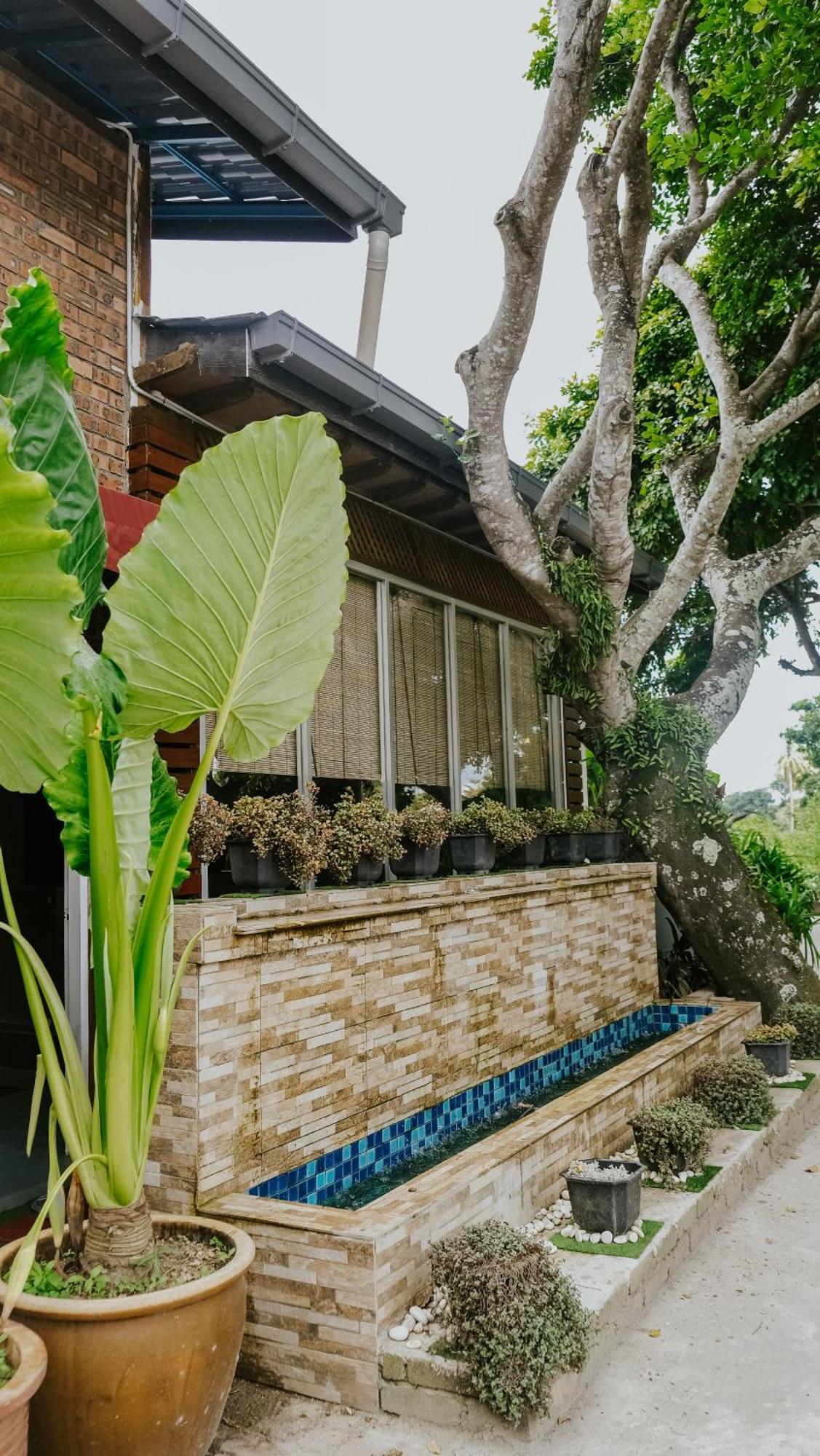 Destini Akef Villa Pantai Cenang Kültér fotó