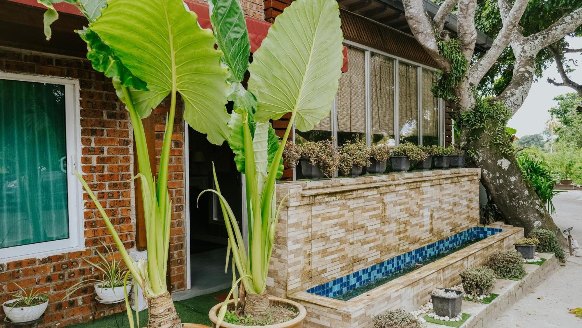 Destini Akef Villa Pantai Cenang Kültér fotó